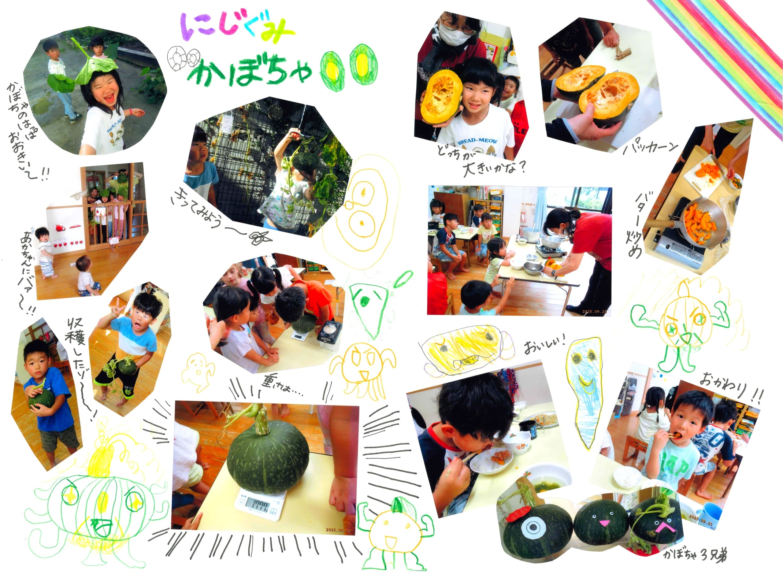 かぼちゃフェスタ報告書③│八瀬野外保育センター